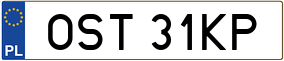 Trailer License Plate